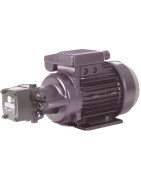 Motorpump low pressure gapa j6 bp 1-phased 270l/h- DIFF - 309042