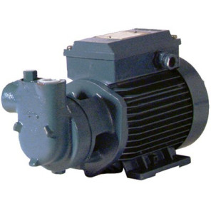 Motorpump low pressure cam 60 single-phased 750l/h- DIFF - 309490