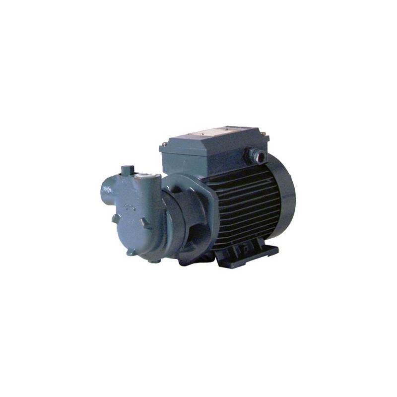 Motorpump low pressure cam 60 single-phased 750l/h- DIFF - 309490