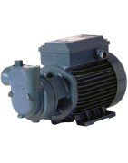 Motorpump low pressure cam 60 single-phased 750l/h- DIFF - 309490