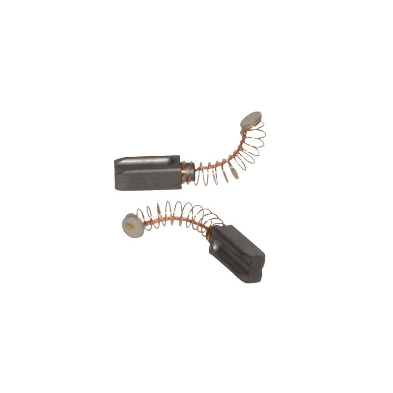 Jeu Charbon + ressort pour Allumeur Leis- FROLING - 38054C  - (X2)