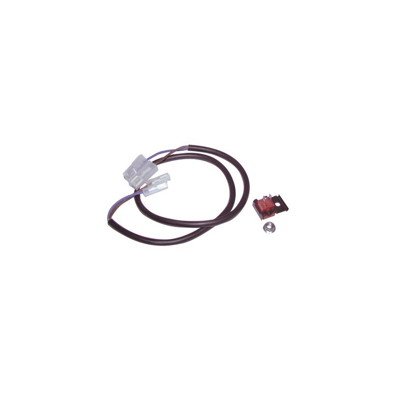 DHW sensor- FERROLI - 39808560