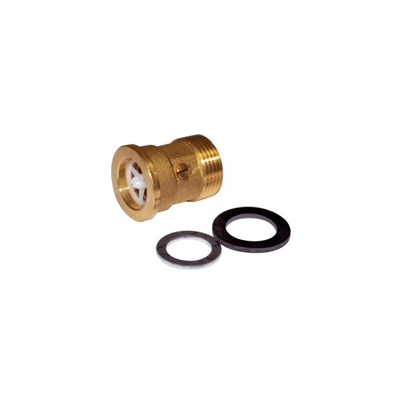 Non return valve- FERROLI - 39811270