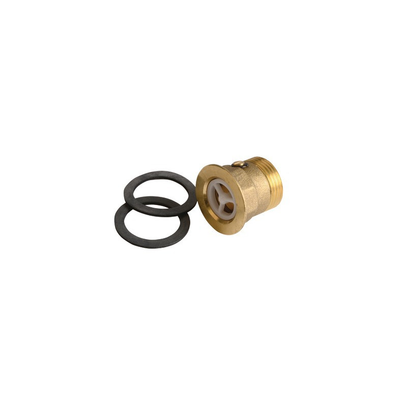 Non return valve GRFK/GN1K 36901210- FERROLI - 39819900