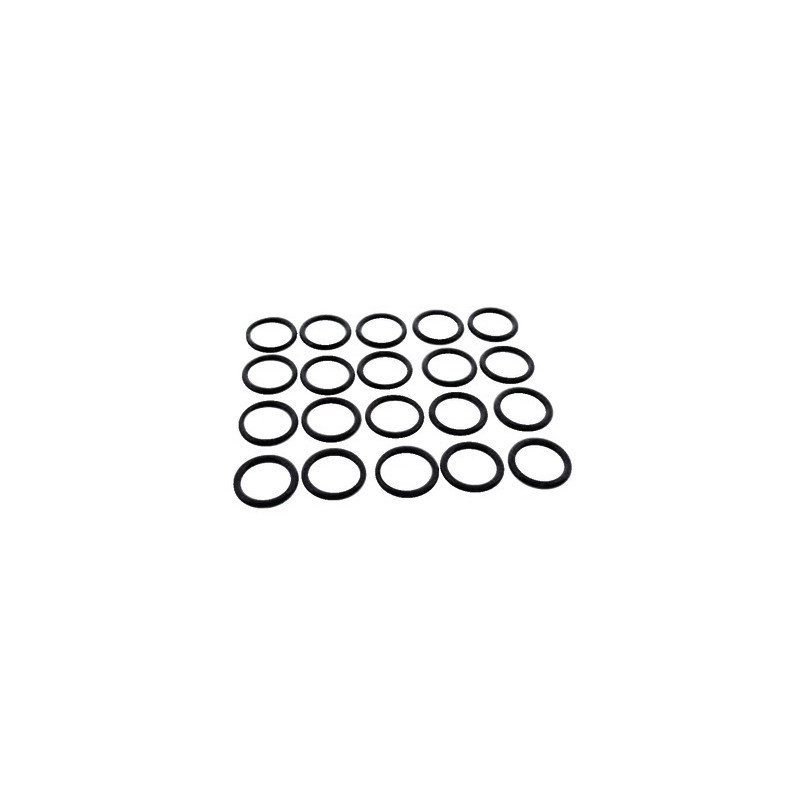 Sanitary gasket- FERROLI - 39837700  - (X20)