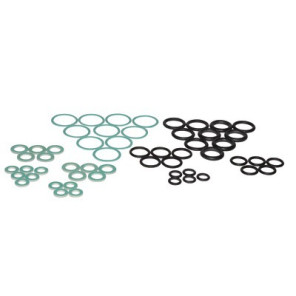 Sel kit- FERROLI - 39838050