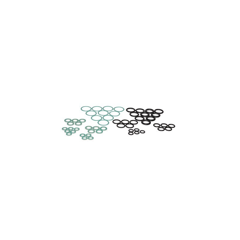 Sel kit- FERROLI - 39838050