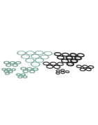 Sel kit- FERROLI - 39838050