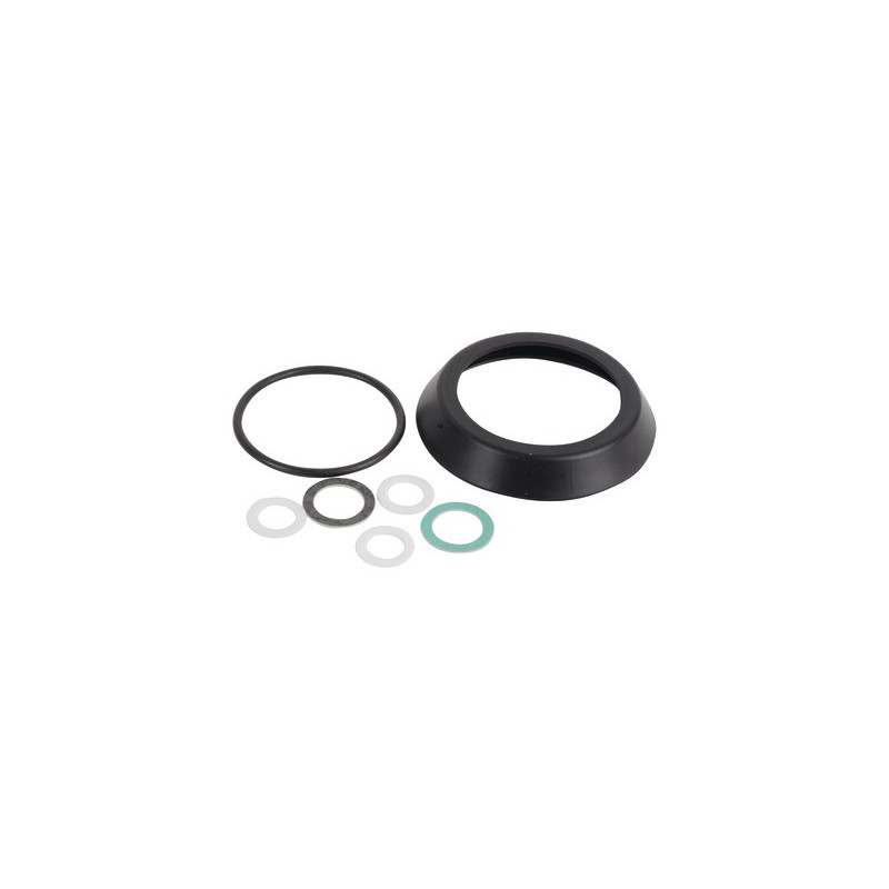 Flange gasket kit  DOMINA- FERROLI - 39843450