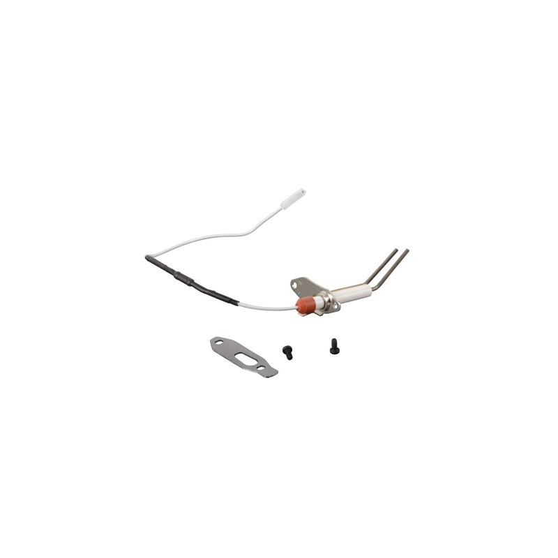 Electrode and lead Bluehelix Pro C- FERROLI - 39846091