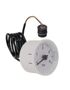 Pressure gauge- FERROLI - 39846290
