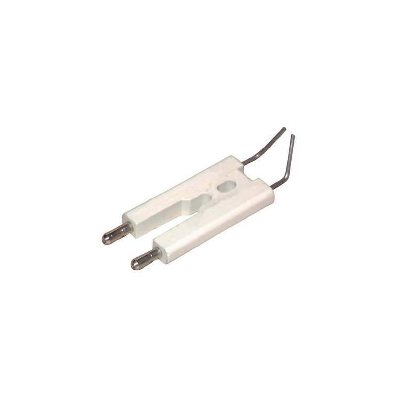 Electrode unit HELIS/TIGRA1200- DIFF pour De Dietrich Chappée - S58528438
