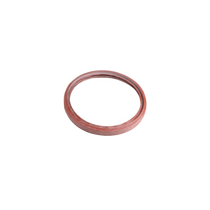 Aludomus gasket- RIELLO - 4052005