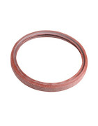 Aludomus gasket- RIELLO - 4052005