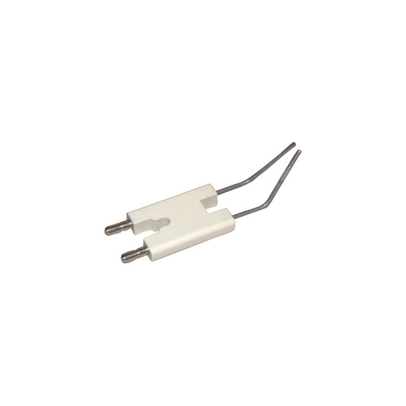1 Electrode unit WL10/15- DIFF pour Weishaupt - 2412001019/7