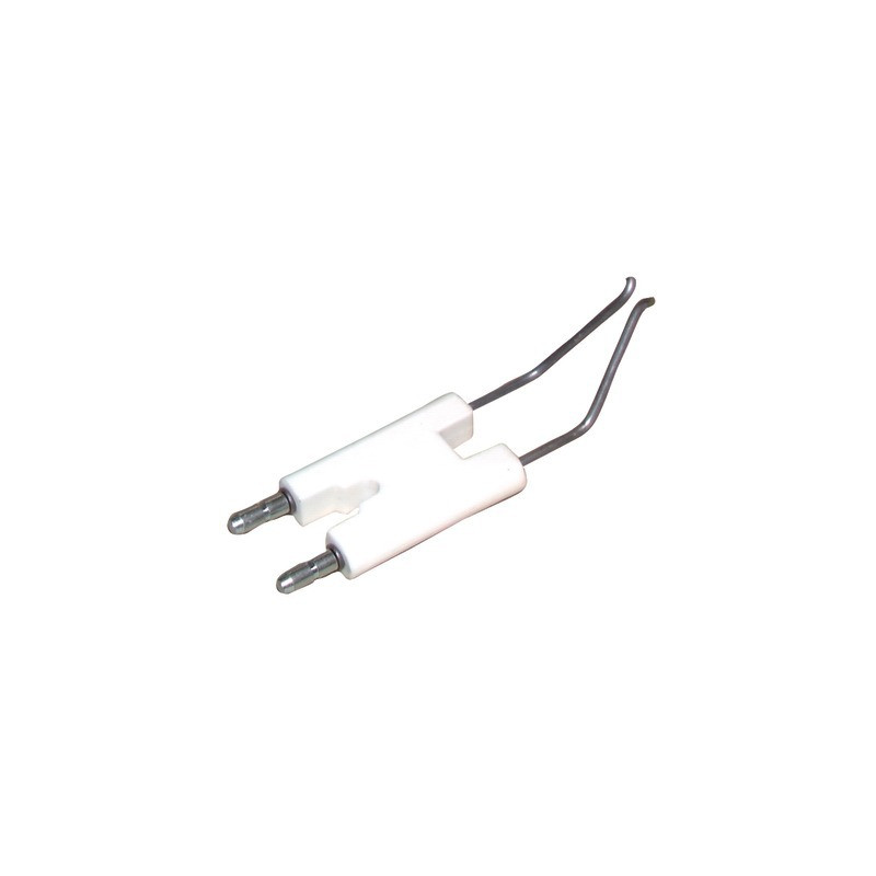1 Electrode unit WL20A- DIFF pour Weishaupt - 2412001026/7