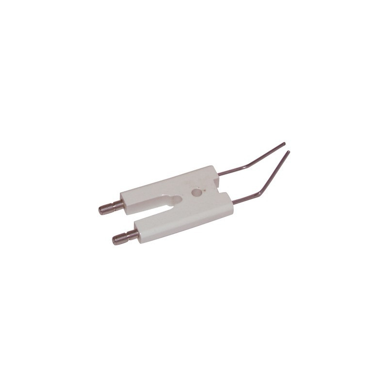 1 Electrode unit WL10- DIFF pour Weishaupt - 1420131027/7