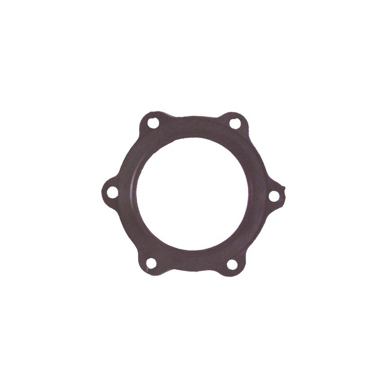 Gasket for water heater Ø 110 6 holes- DIFF - 415114