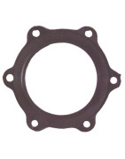 Gasket for water heater Ø 110 6 holes- DIFF - 415114