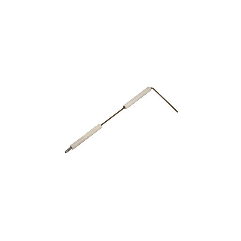 Specific electrode sonde bg300 -- BENTONE - 11905102