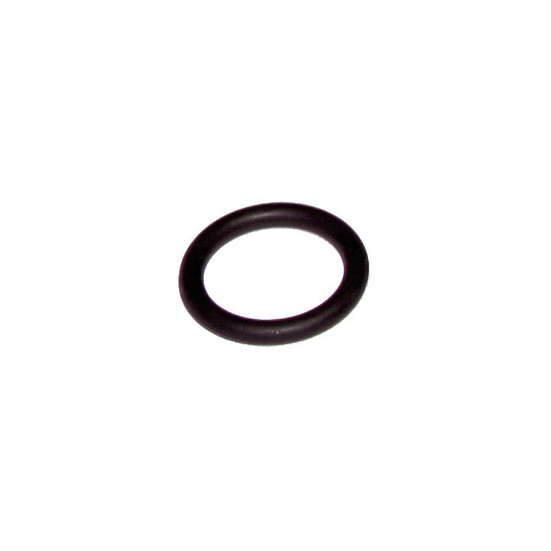 O-ring- RIELLO - 4364282  - (X10)