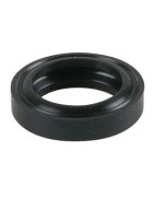 Gasket- RIELLO - 4365767  - (X4)