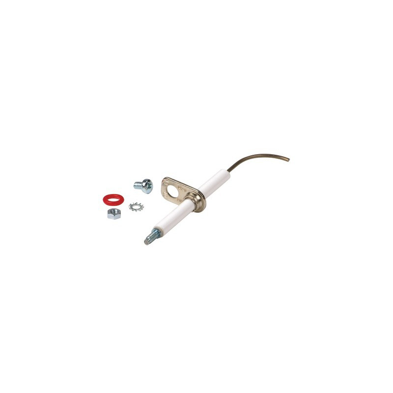 Electrode- RIELLO - 4365868