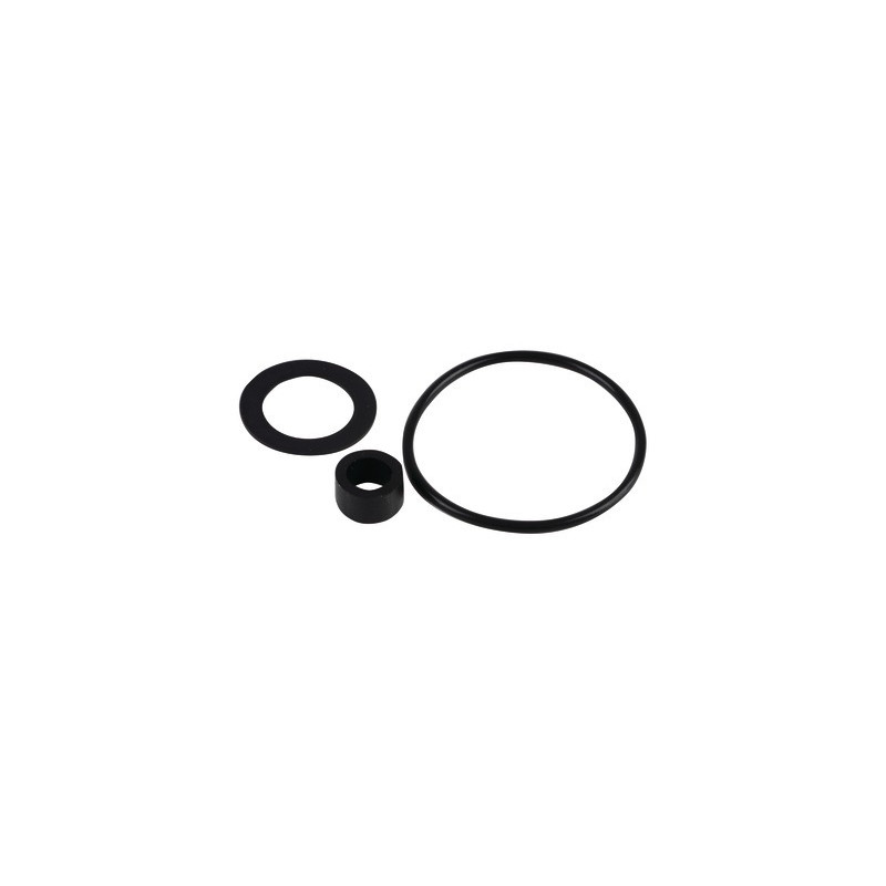 Filter of simple fuel kit gasket for filter of- DIFF - 603030