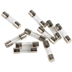 Fuse 250V 1,25A- CHAFFOTEAUX - 61003635  - (X10)