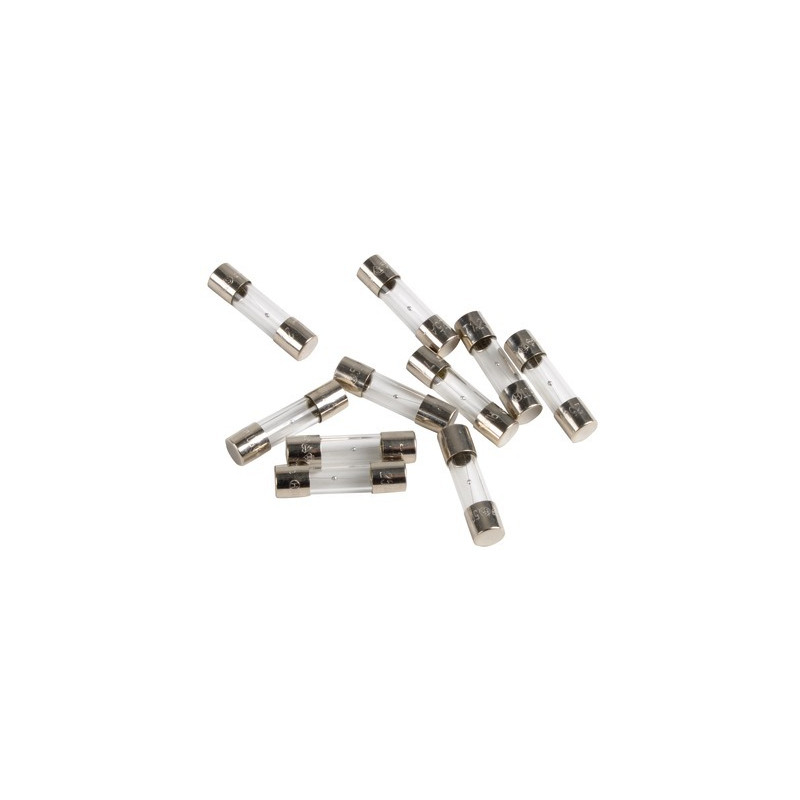 Fuse 250V 1,25A- CHAFFOTEAUX - 61003635  - (X10)