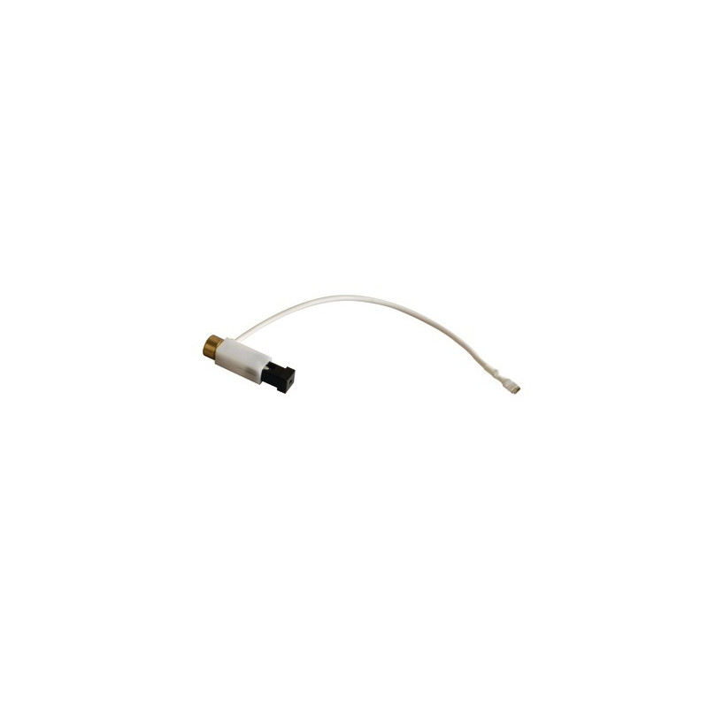 Ignitor- CHAFFOTEAUX - 61313911