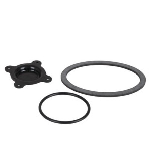 Flange gasket- CHAFFOTEAUX - 61317346