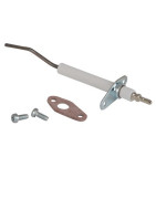 Detection Electrode Unit- COSMOGAS - 62632007