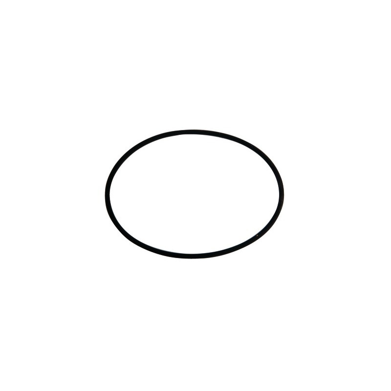 Seal d 93x3 mm4- GEMINOX - 63002998