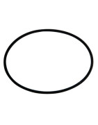 Seal d 93x3 mm4- GEMINOX - 63002998 Seal d 93x3 mm4- GEMINOX - 63002998