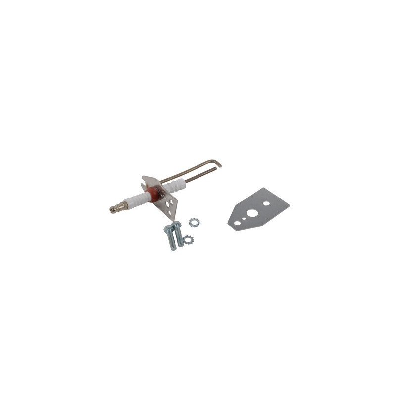 Ignition electrode + seal- RENDAMAX - 64202263
