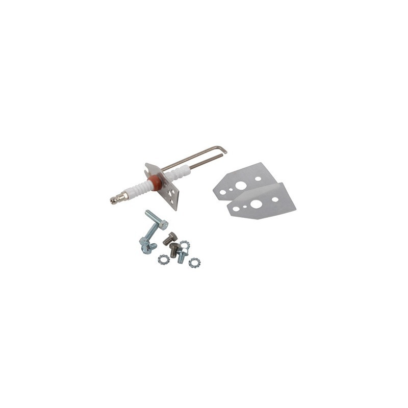 Ignition electrode + seal- RENDAMAX - 64202264