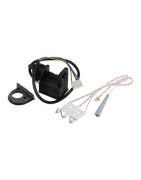 Igniter- CHAFFOTEAUX - 65104653