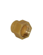 Raccord diélectrique 3/4- CHAFFOTEAUX - 65120756 Raccord diélectrique 3/4- CHAFFOTEAUX - 65120756