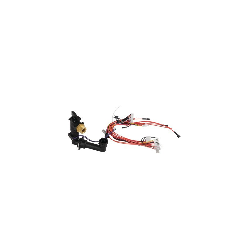 Flow switch- CHAFFOTEAUX - 65153522-01