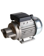 Flange motor nema2 non-ventilated 1phase 220v 250w- DIFF - 702094