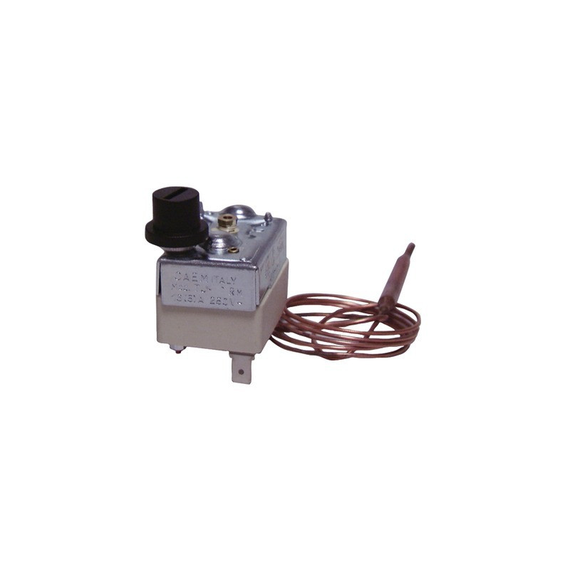Security aquastat with bulb caem type ts rm tf- DIFF - 703924