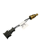 Sonde depart/surchauff (4 fils)smartli/g- GEMINOX - 7099092 Sonde depart/surchauff (4 fils)smartli/g- GEMINOX - 7099092