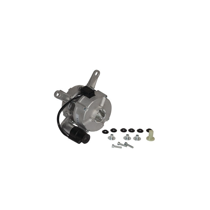Motor- CHAPPEE - 7666069