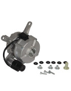 Motor- CHAPPEE - 7666069