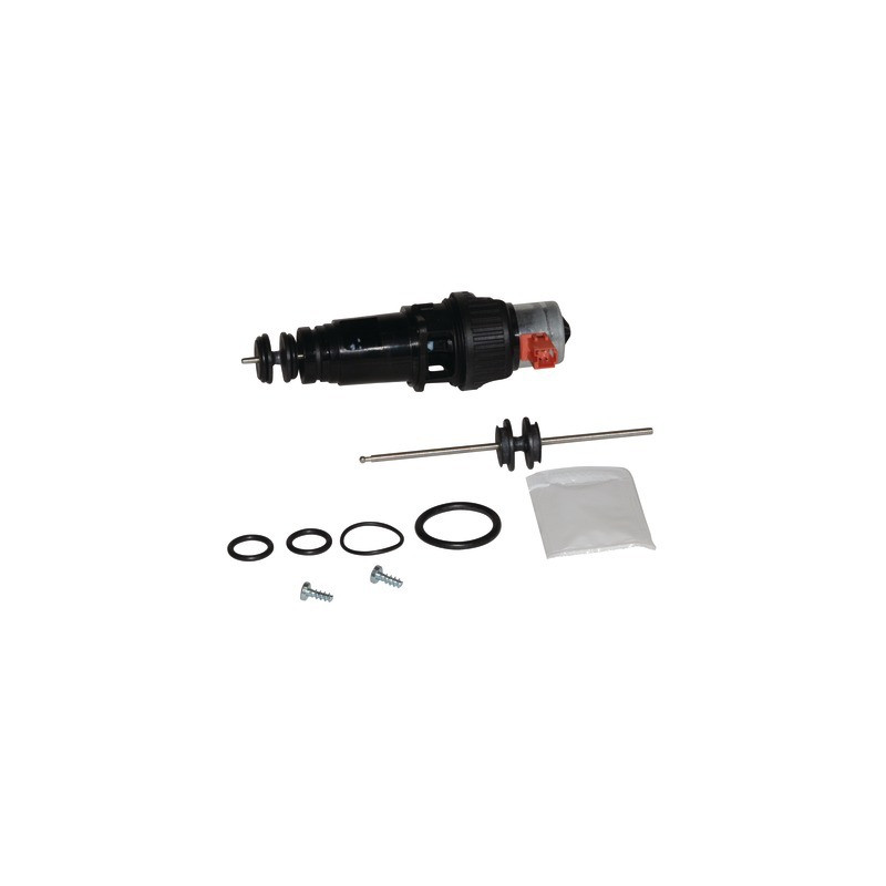 Diverter valve, motor and spindle- SAUNIER DUVAL - 8000041518