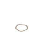 Stainless steel spring washer- GEMINOX - 87168006920