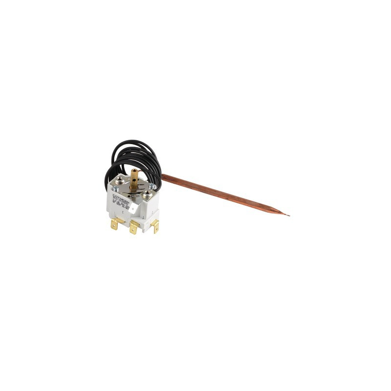 Thermostat 20/80- GEMINOX - 87168109720