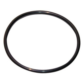 O-ring 120.02x6.99-n- GEMINOX - 87185725380
