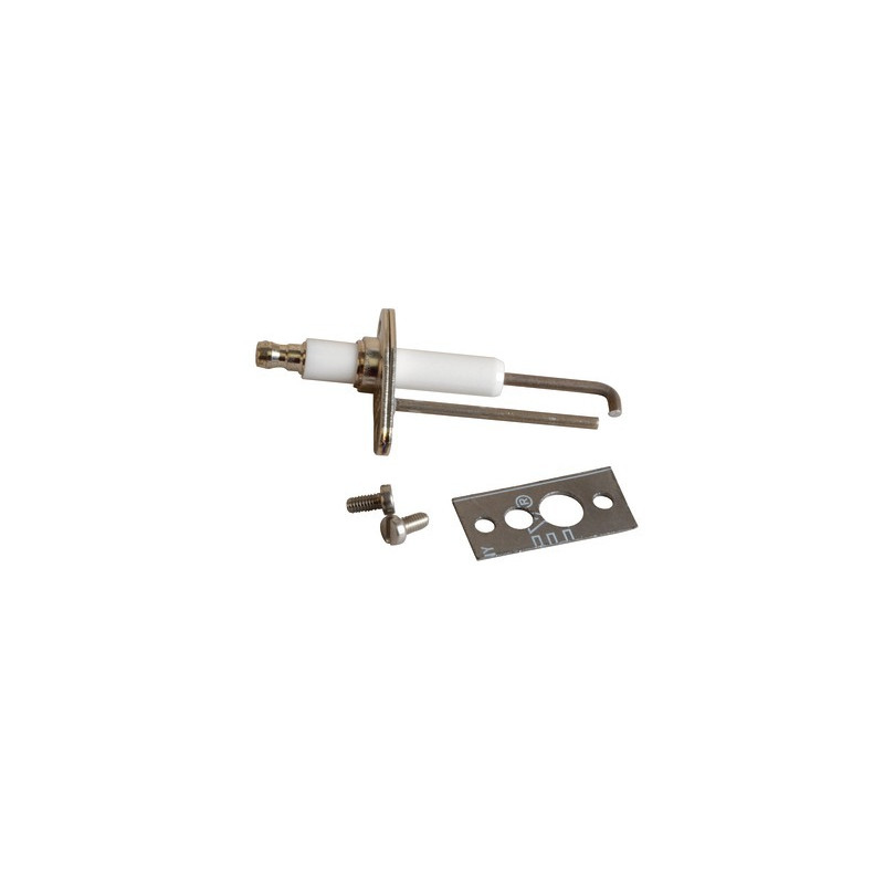 Ignition electrode + gasket- ELM LEBLANC - 87229665910